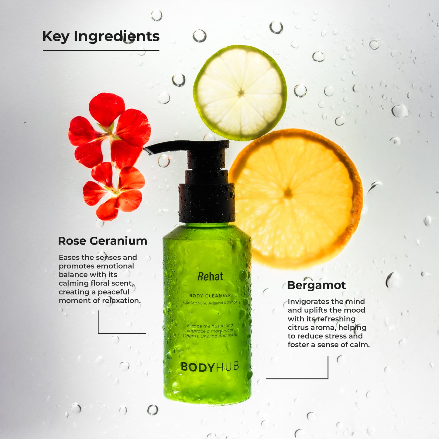 body cleanser body wash bodyhub